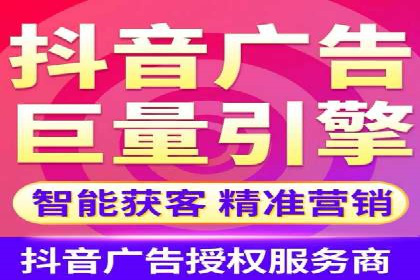 解析某某SEM服务公司的广告投放策略与效果评估